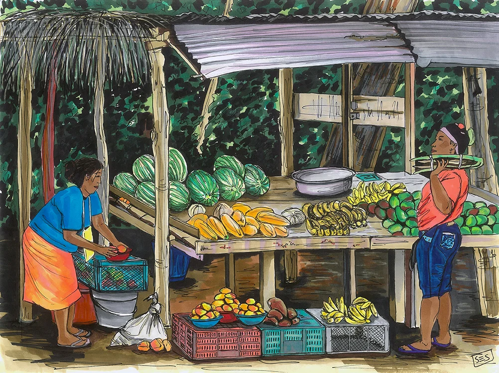 Fruit Vendors in María la Baja, 11"x14", 2015