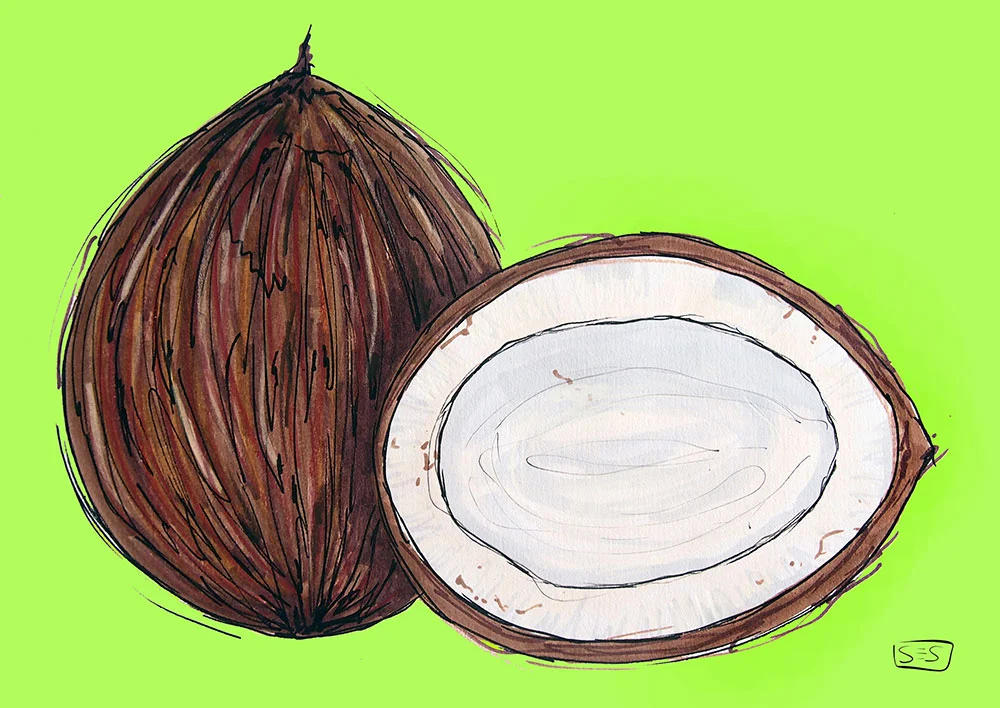 web-coco.jpg