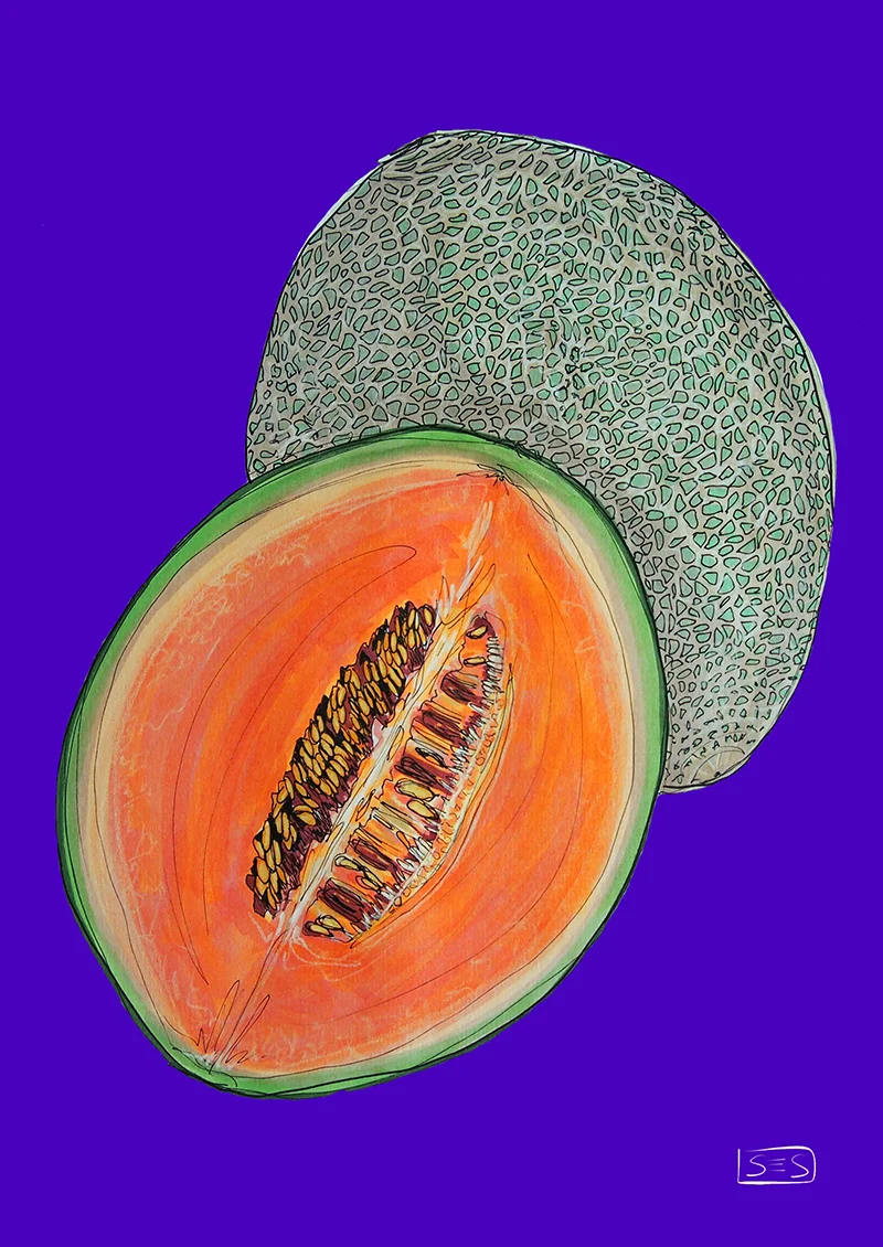 web-cantalope.jpg