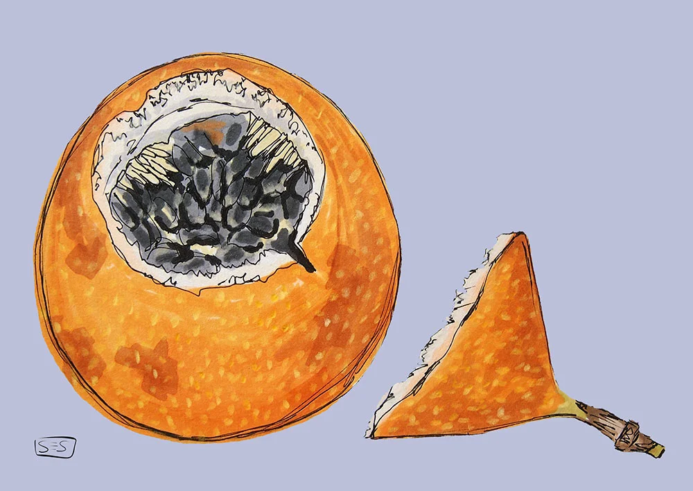 web-granadilla.jpg