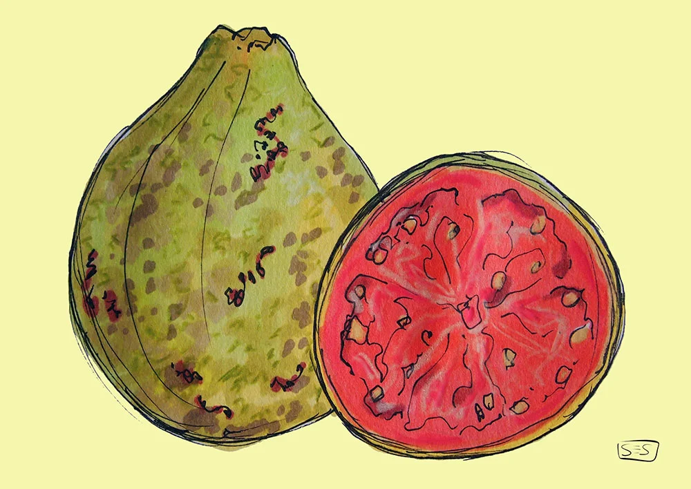 web-guayaba.jpg