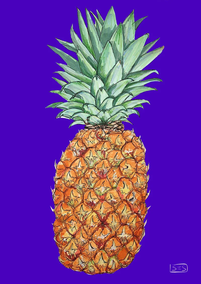 web-pina.jpg