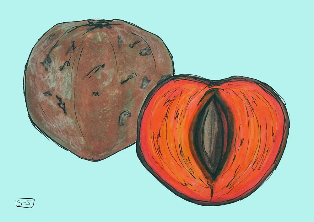 web-zapote2.jpg