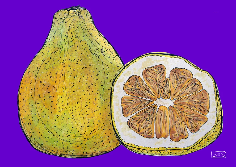 web-pomelo.jpg