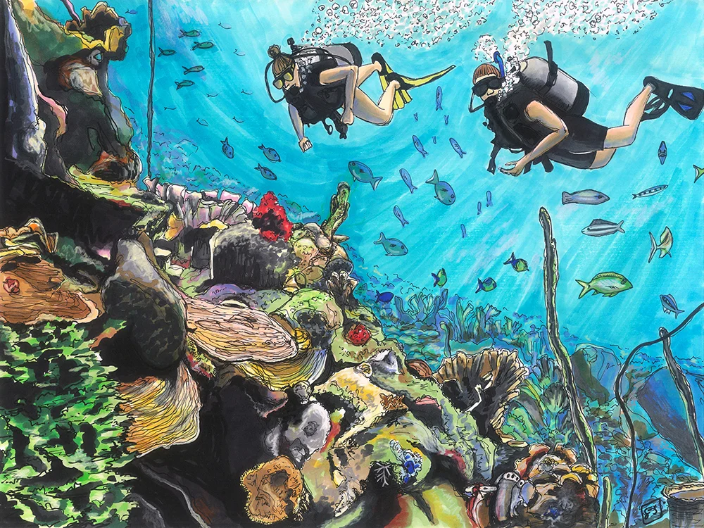 Diving in las Islas del Rosario, 11"x14", 2015