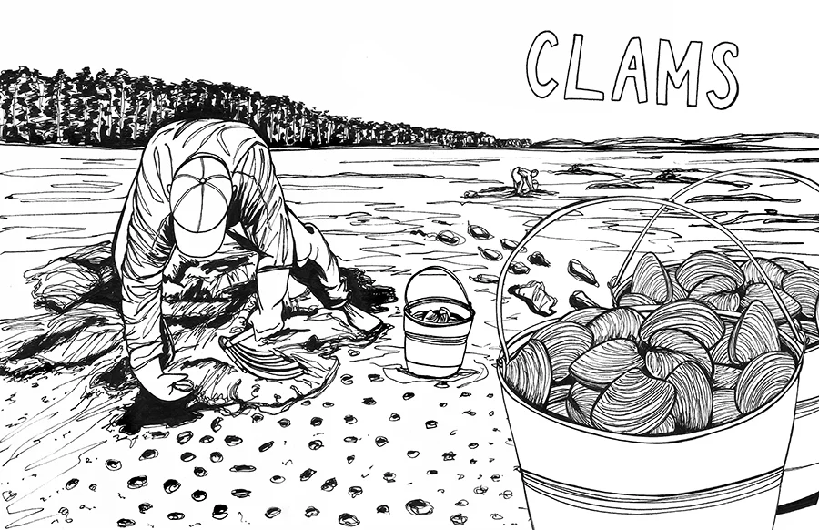 clams.jpg