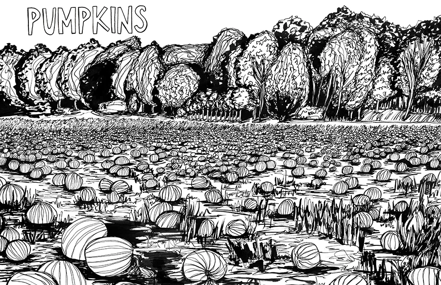 pumpkins sm.jpg
