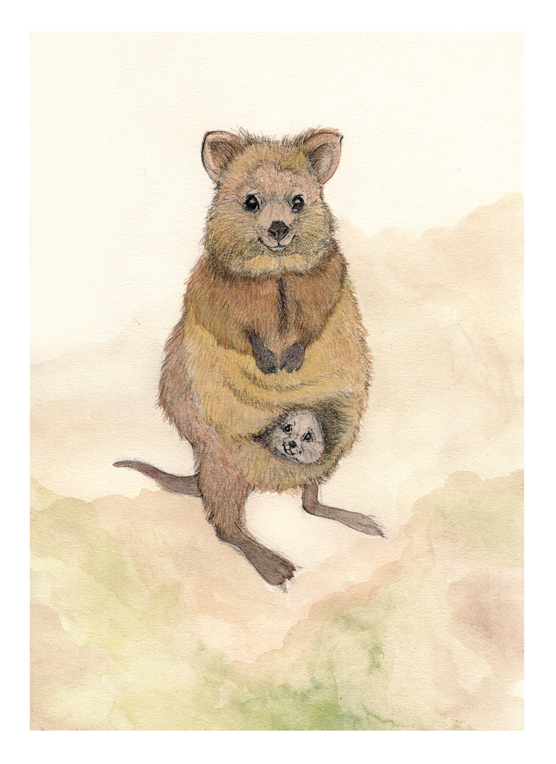Quokka-&-Joey-bk---A4-with-1.jpg