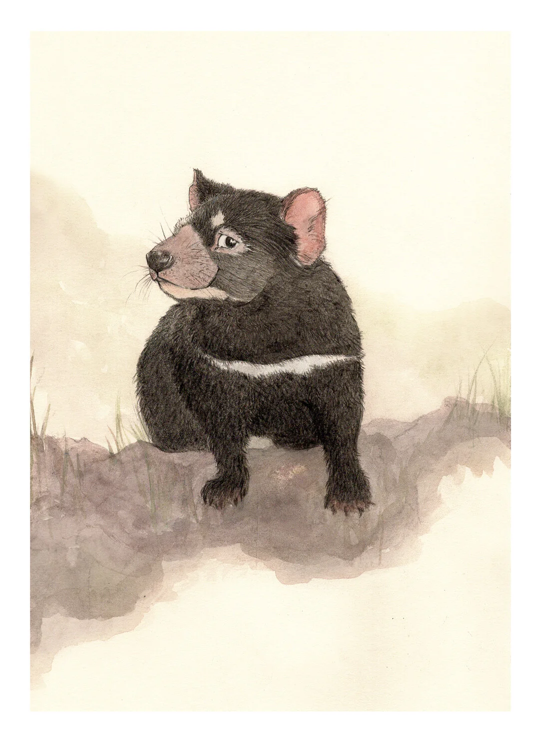 Tassie-Devil-bk--A4-with-1.jpg