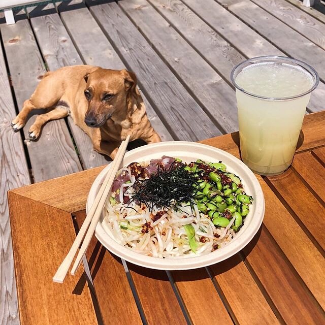 Now this is the glare you get when you don't bring home a poke bowl for your friend 👀⁠⠀
⁠⠀
#SeaSweetsPoke ⁣#pdx #portland #pdxeats #pdxnow #youcaninportland #eater #eaterpdx #portlandfood #pdxfood #pdxeats #portlandeats #pokebowl #poke #chownow #pdx