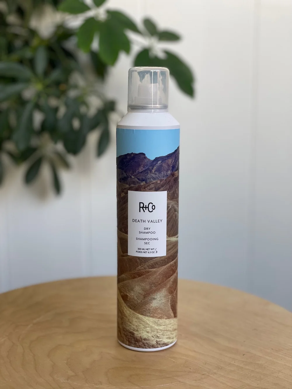 DEATH VALLEY - Dry Shampoo — WILD HONEY SALON