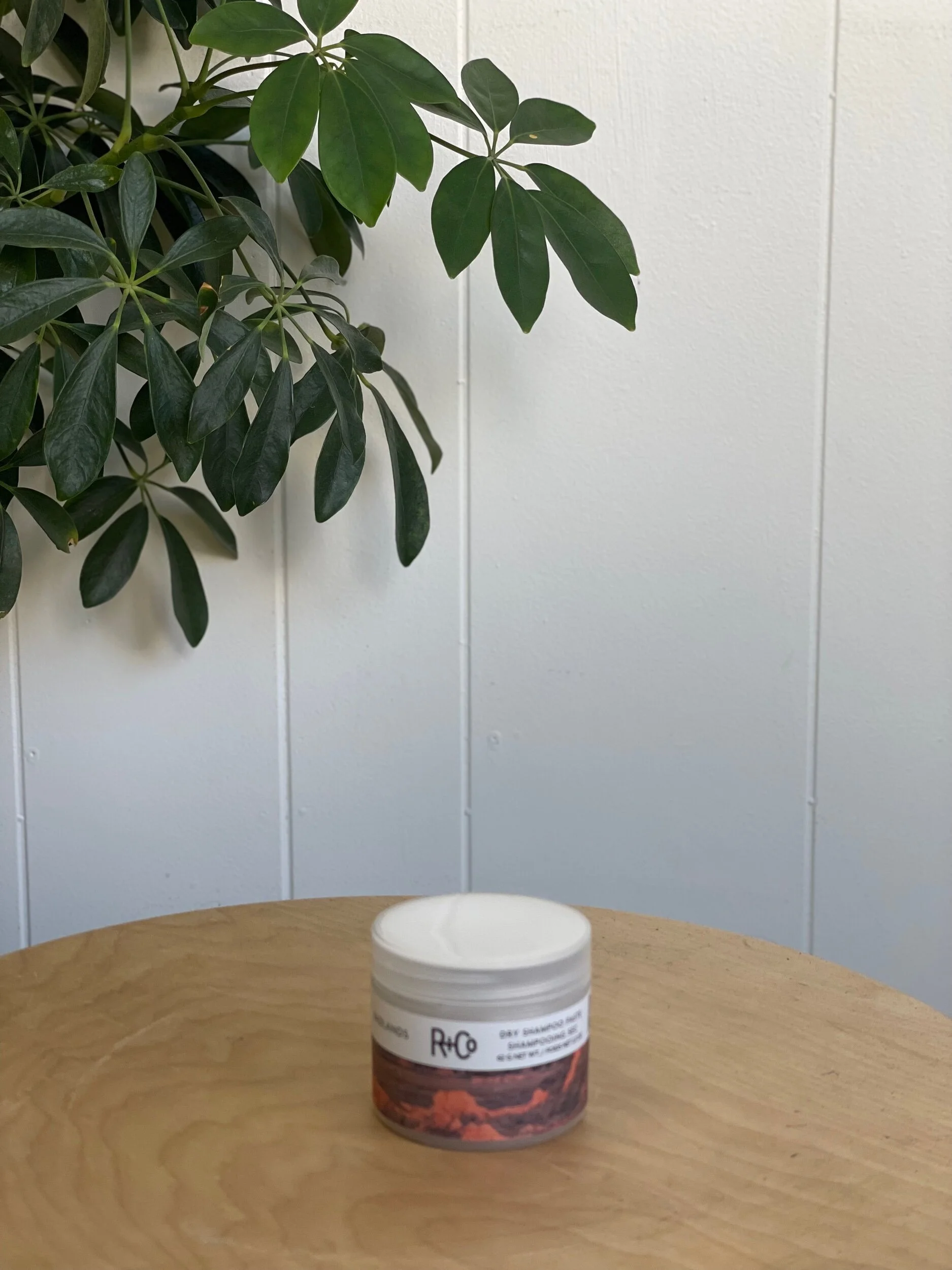 D780BF1C-0A23-442D-A739-A8CC7F73E9EF