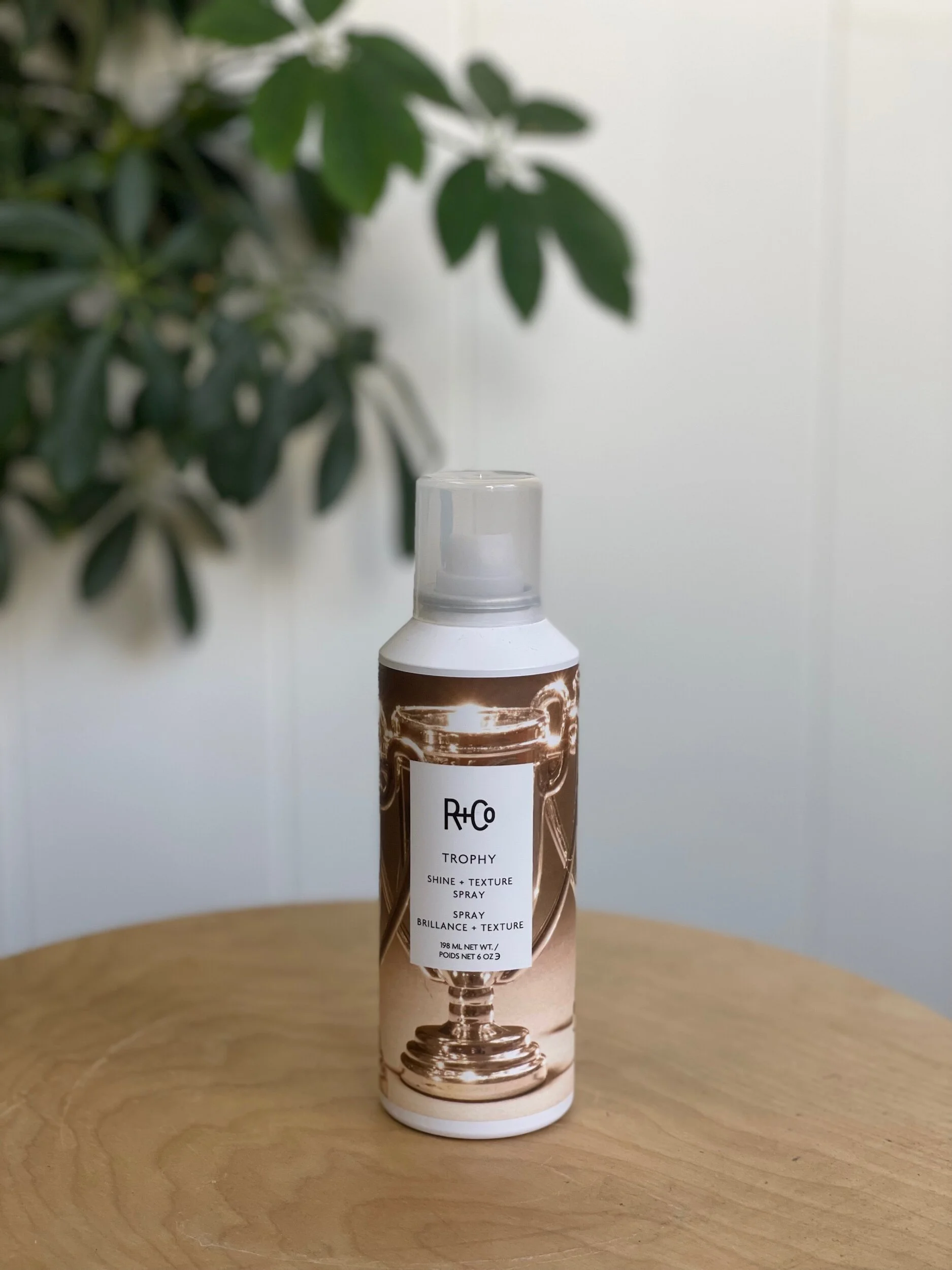 9BCC41DB-C57D-4DF6-A750-74679422A5FA