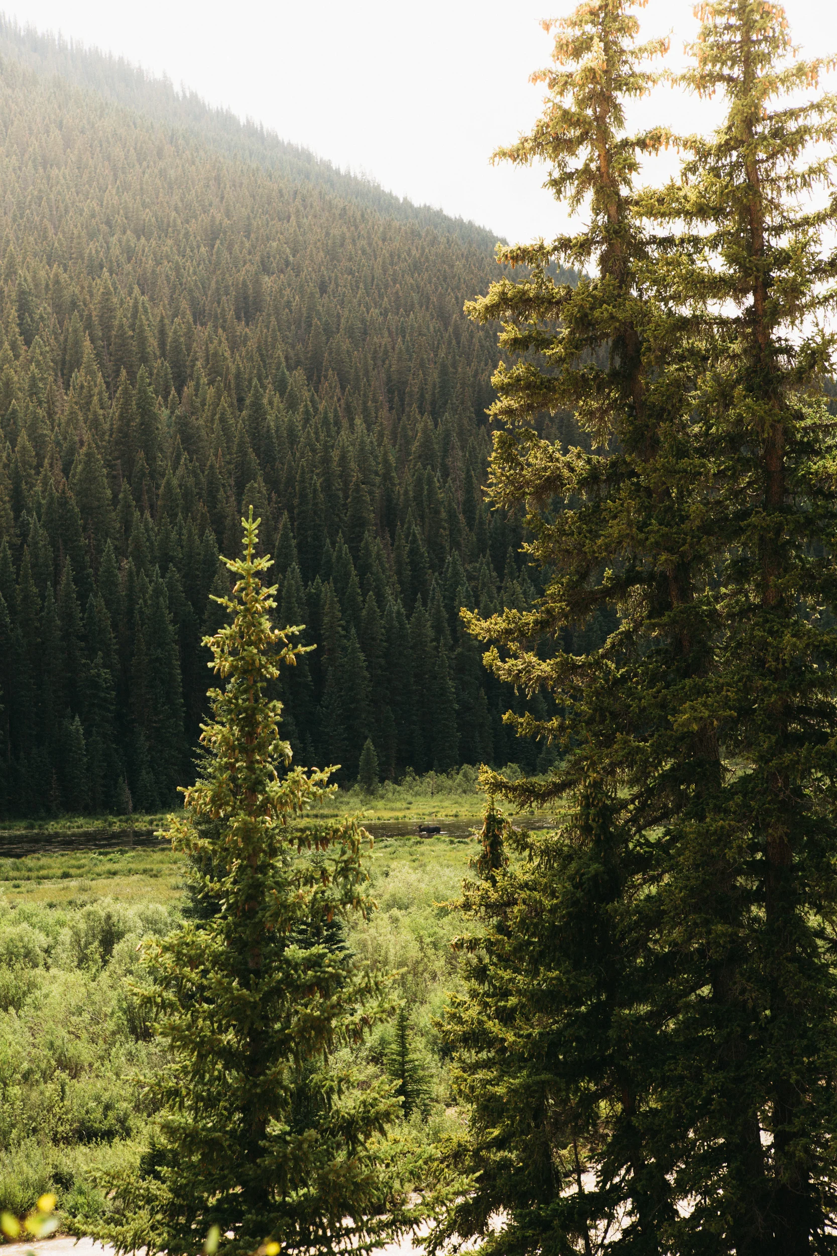 Colorado-39.jpg
