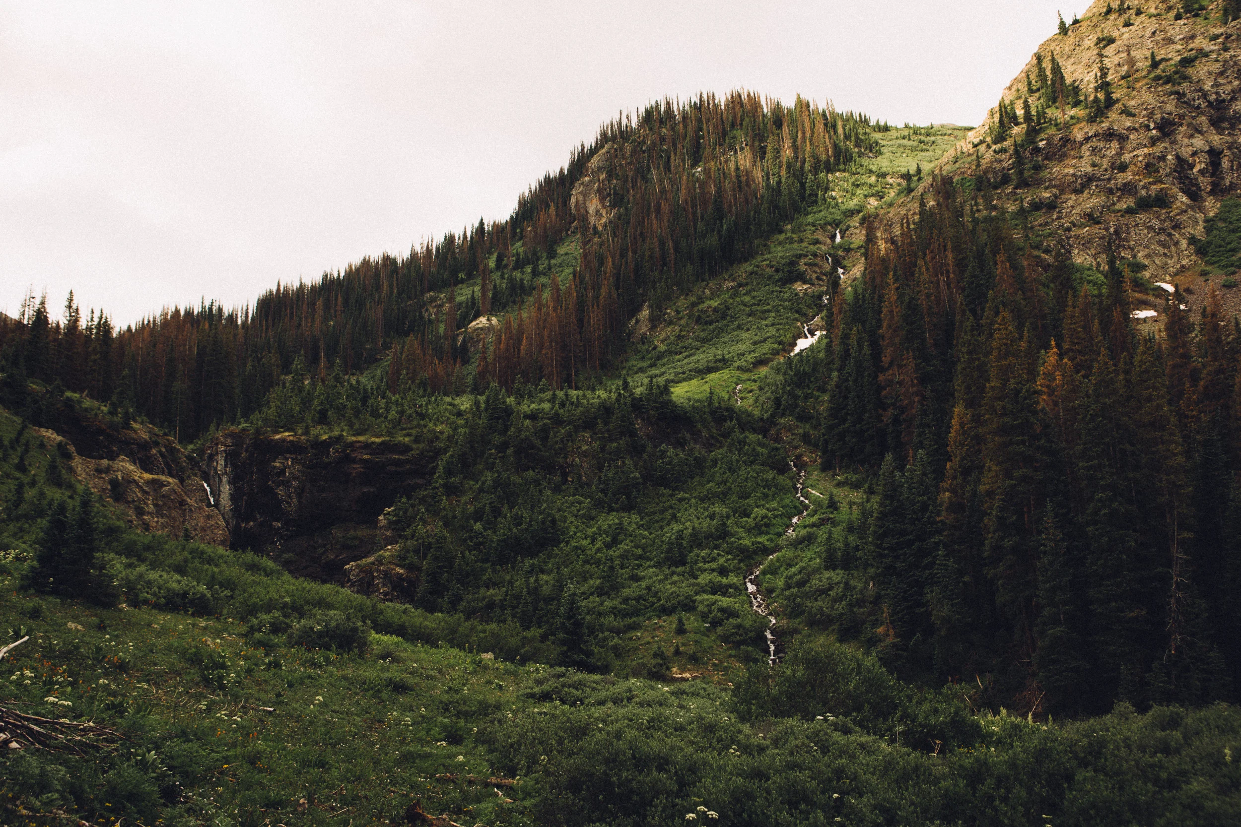 Colorado-40.jpg
