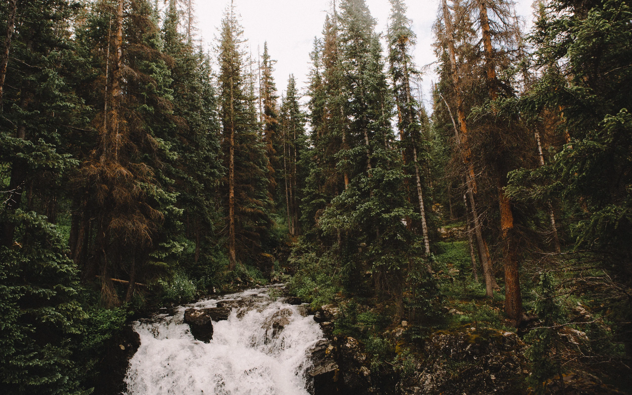 Colorado-43.jpg
