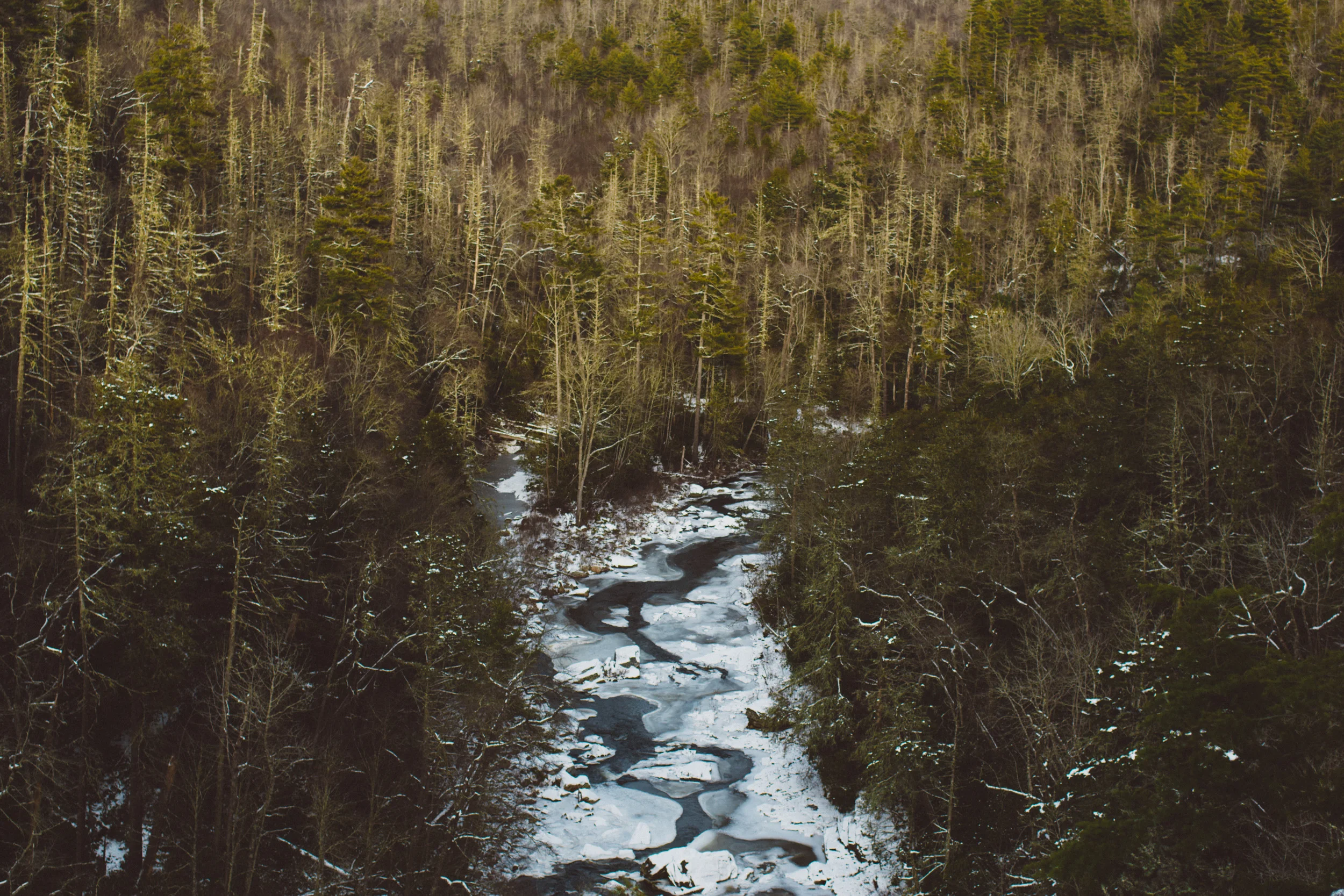 Boone-23.jpg