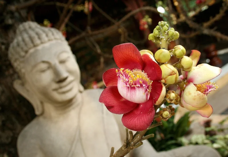 Phnom Penh, Cambodia