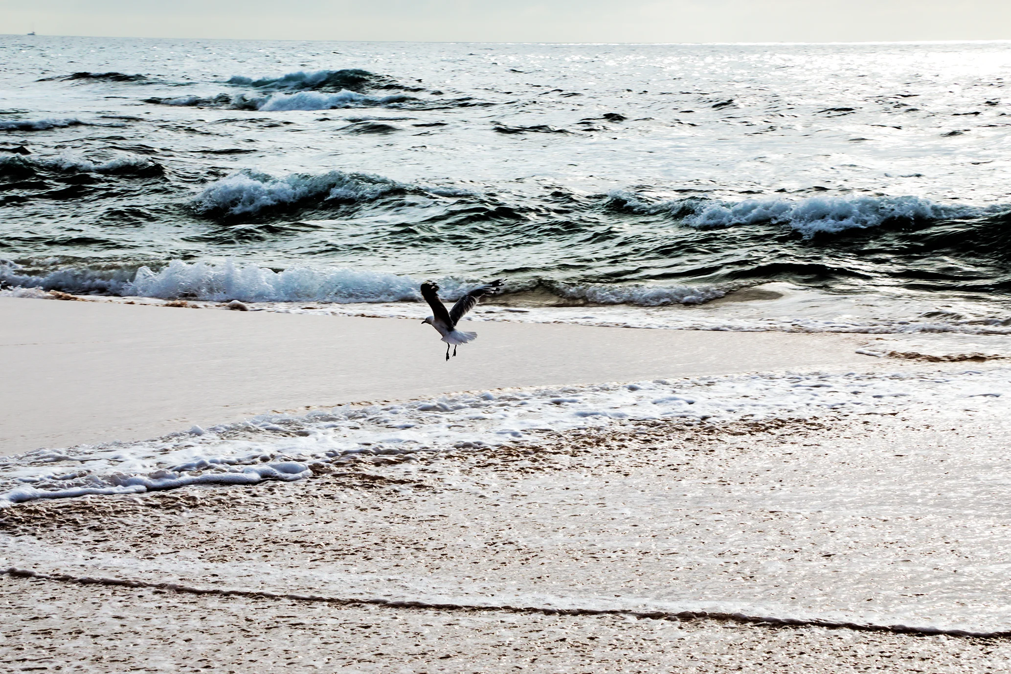 Wamberal Beach, New South Wales 