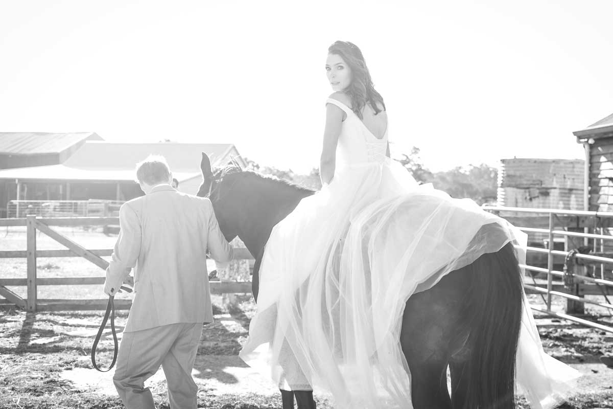 Ammon_Creative-Wedding-Contact.jpg