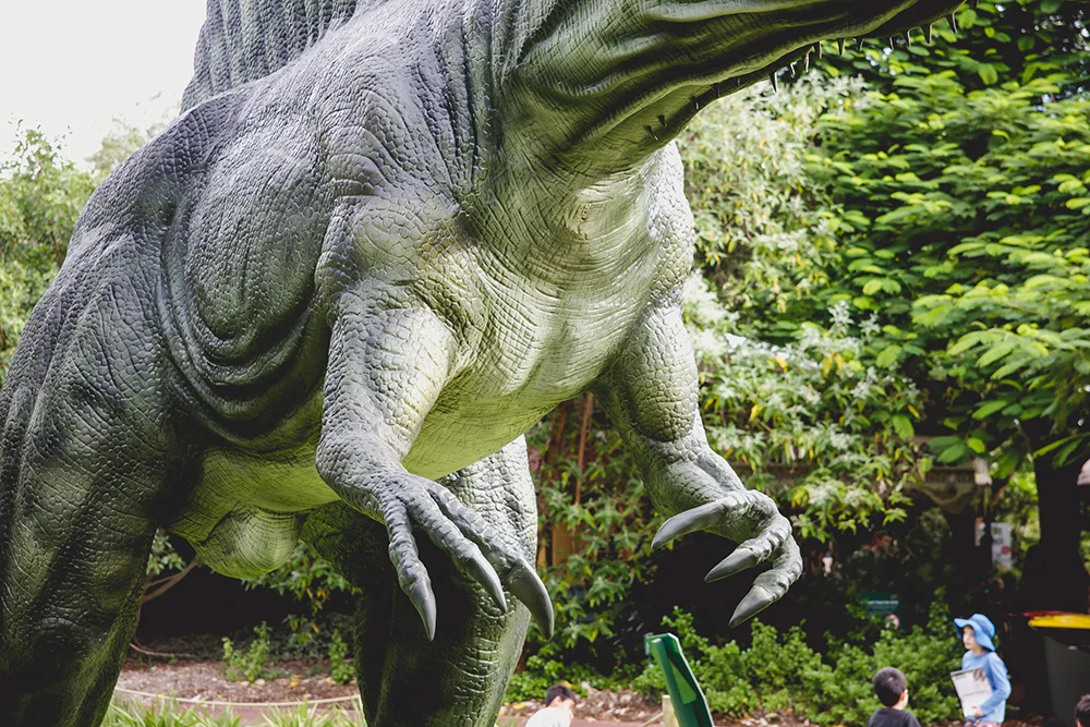 20160416-zoo-2137.jpg