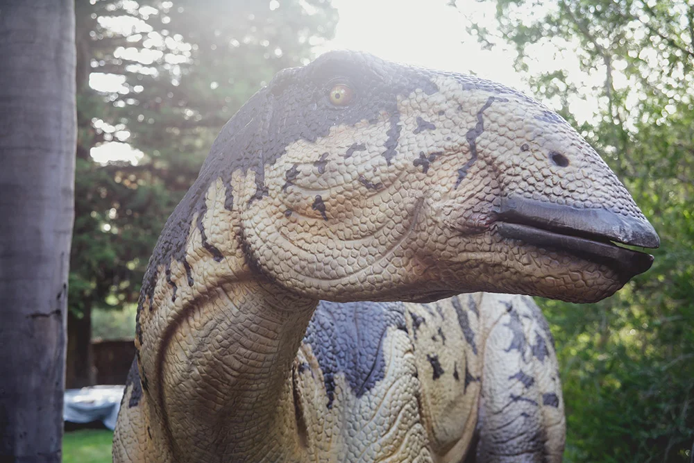 20160416-zoo-2219.jpg