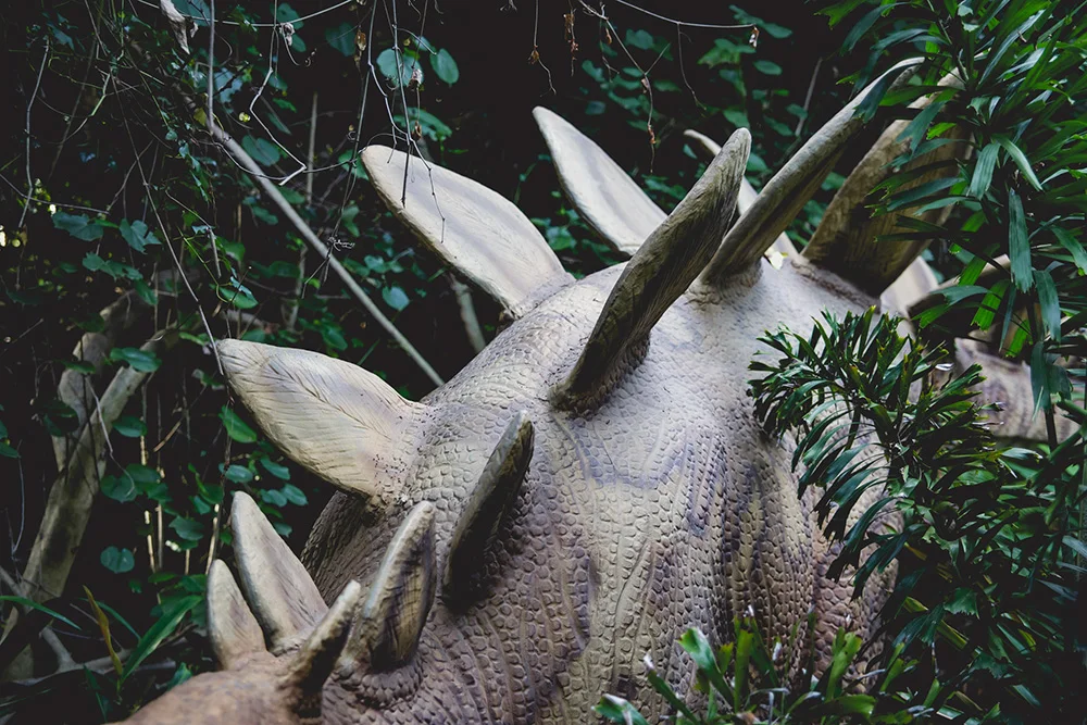 20160416-zoo-2264.jpg