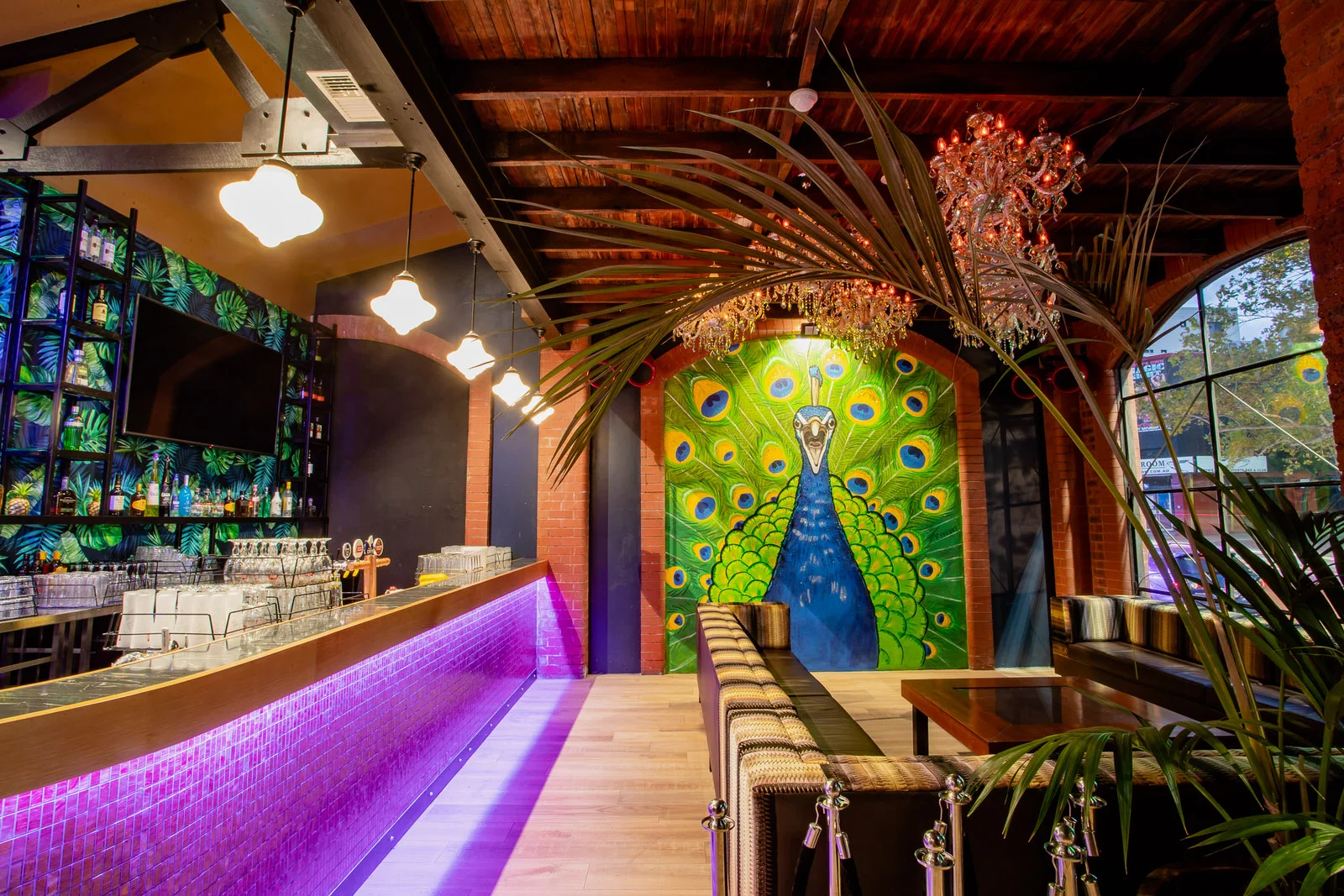 AMMON-20190206-Coconut_Grove-Venue-0049.jpg