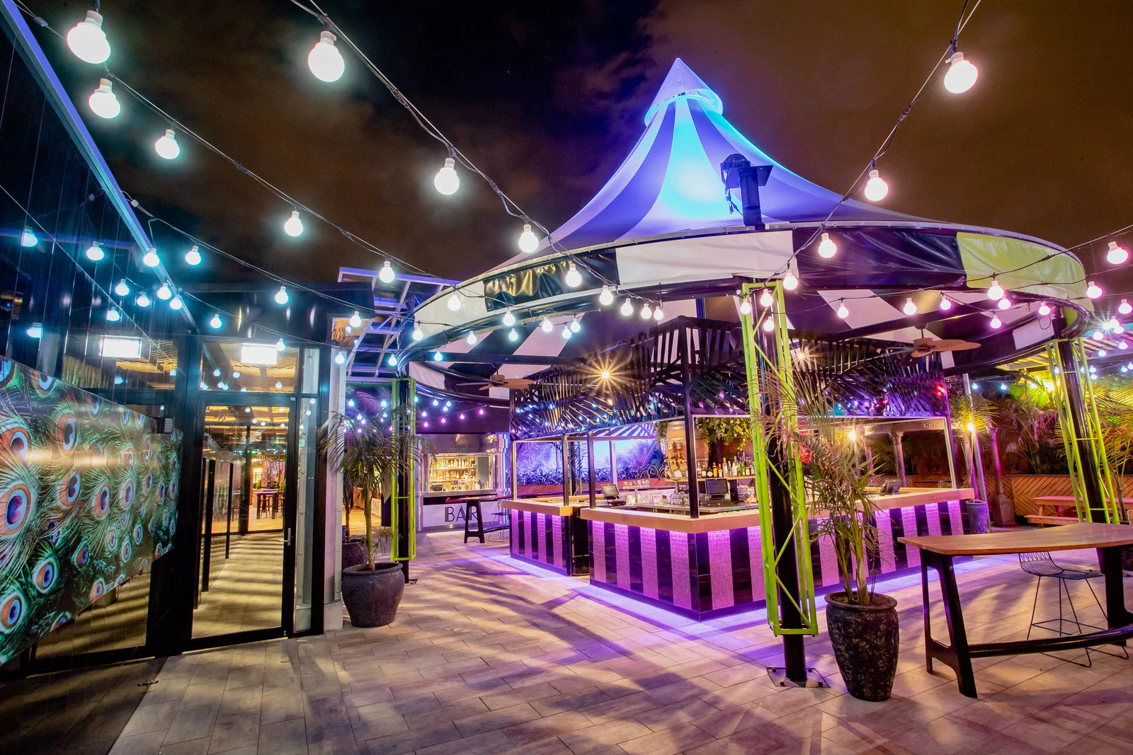 AMMON-20190206-Coconut_Grove-Venue-0108.jpg