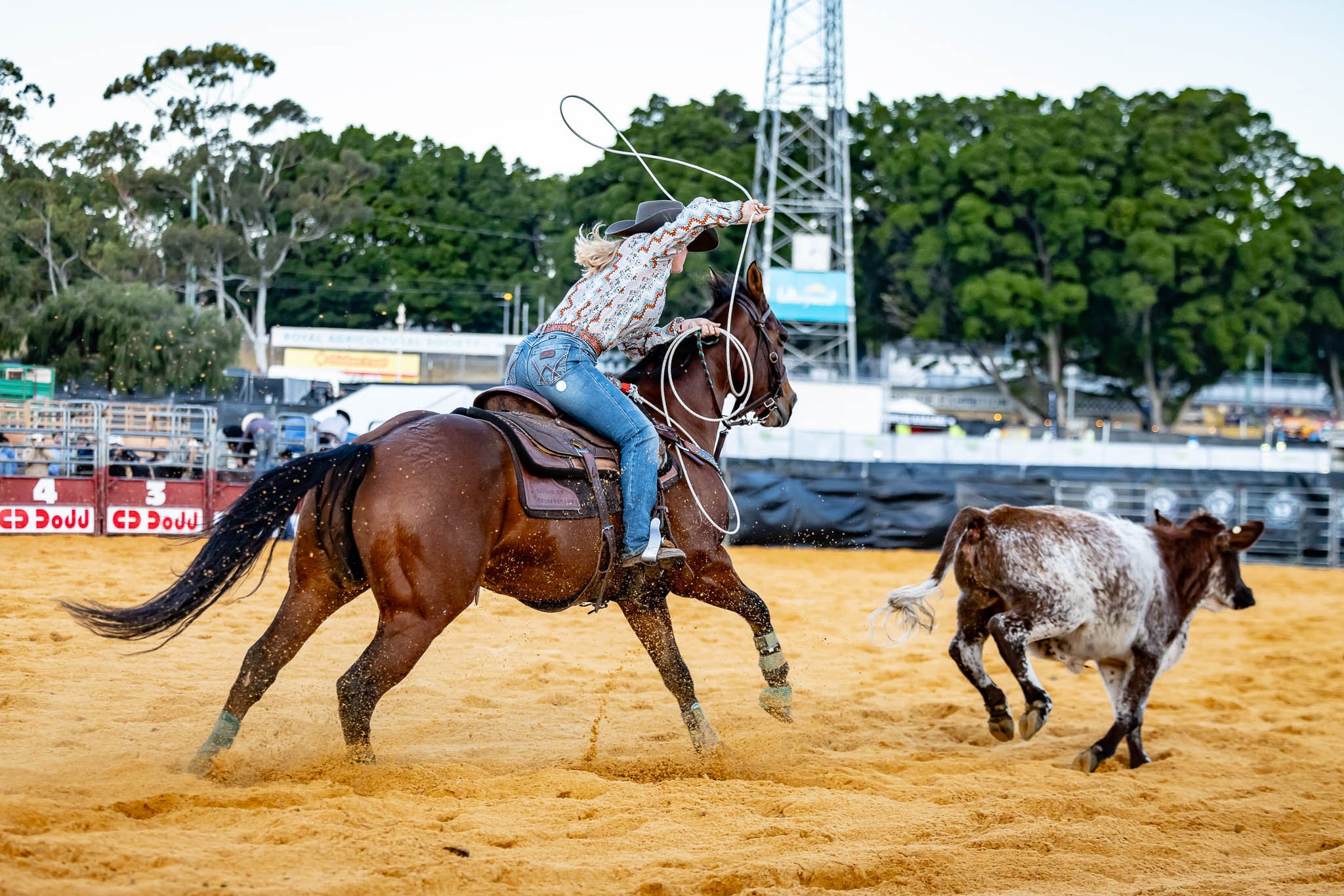 20230513-Ammon_Creative-Event_Photography_Perth-RASWA-The_Muster-Claremont_Showgrounds-Image_04.jpg