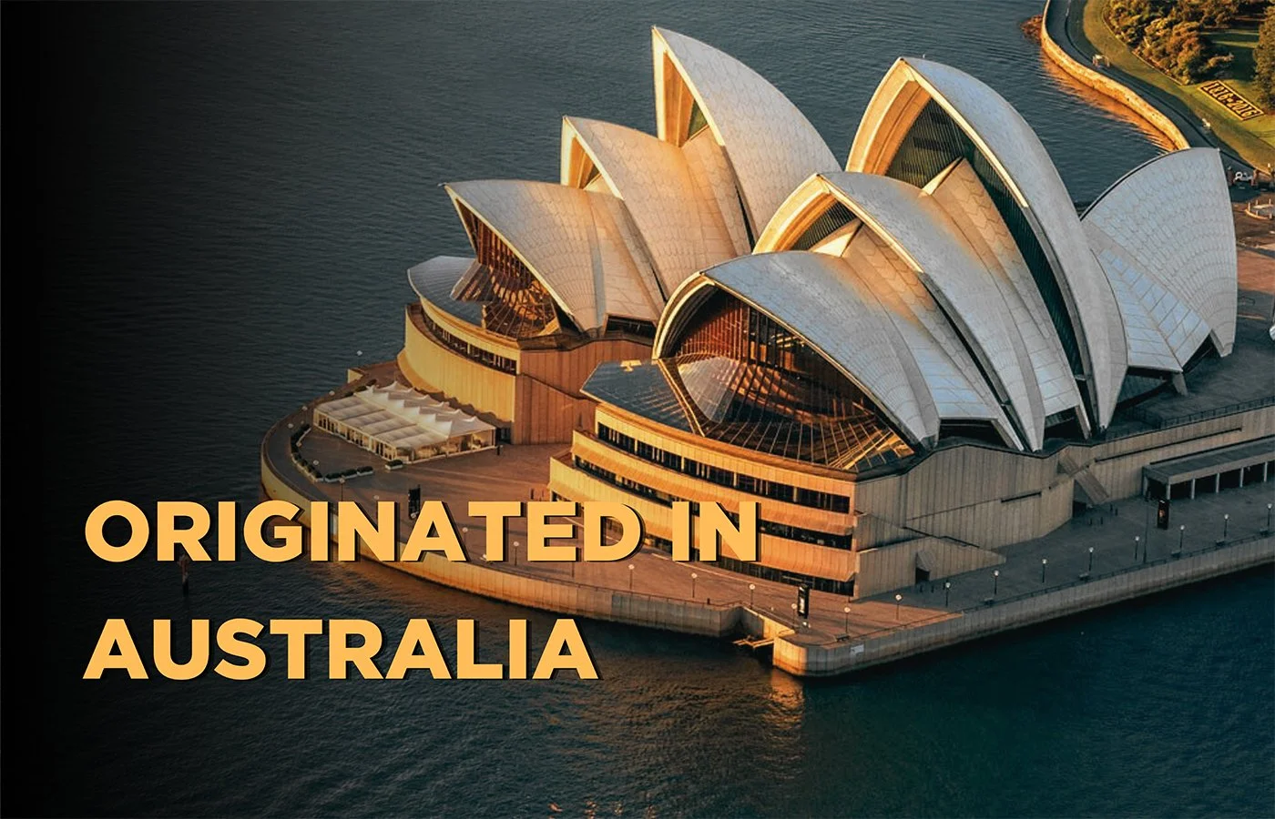 website banner 2.jpg