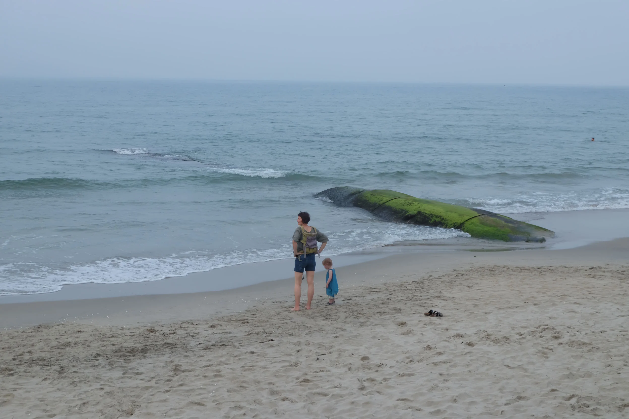 DSCF4128.jpg