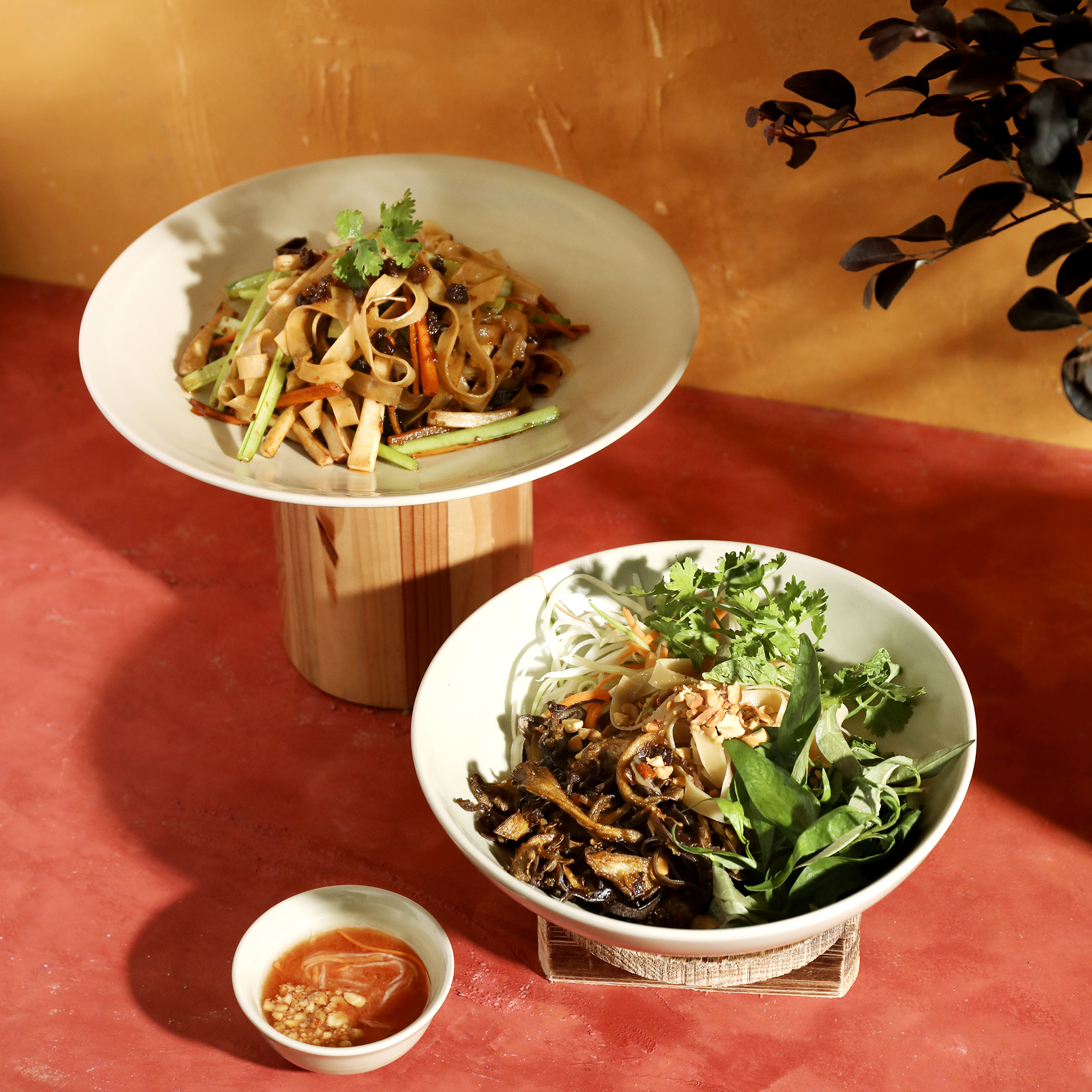 Đậu Đỏ_Concept_27.jpg