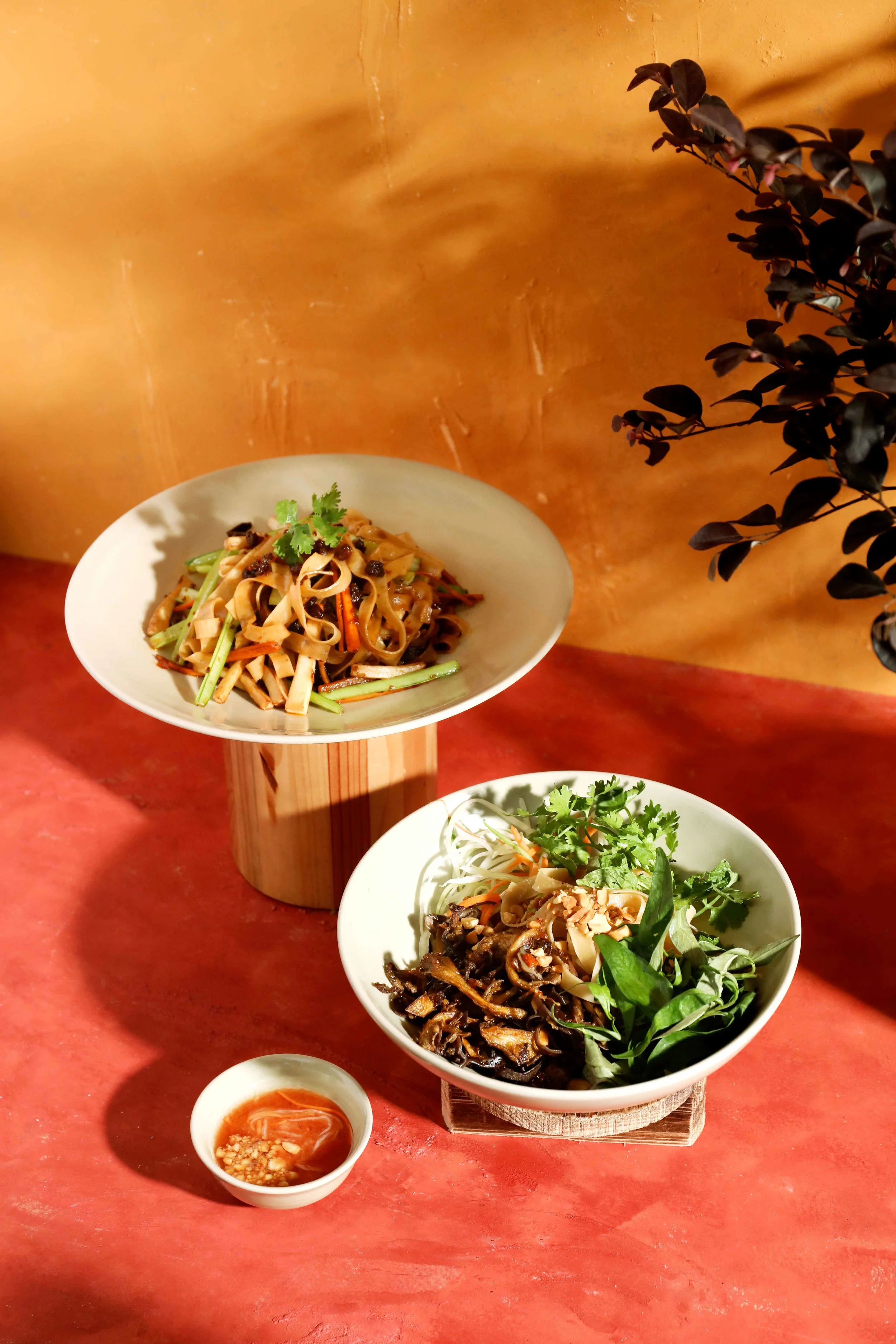 Đậu Đỏ_Concept_27.jpg