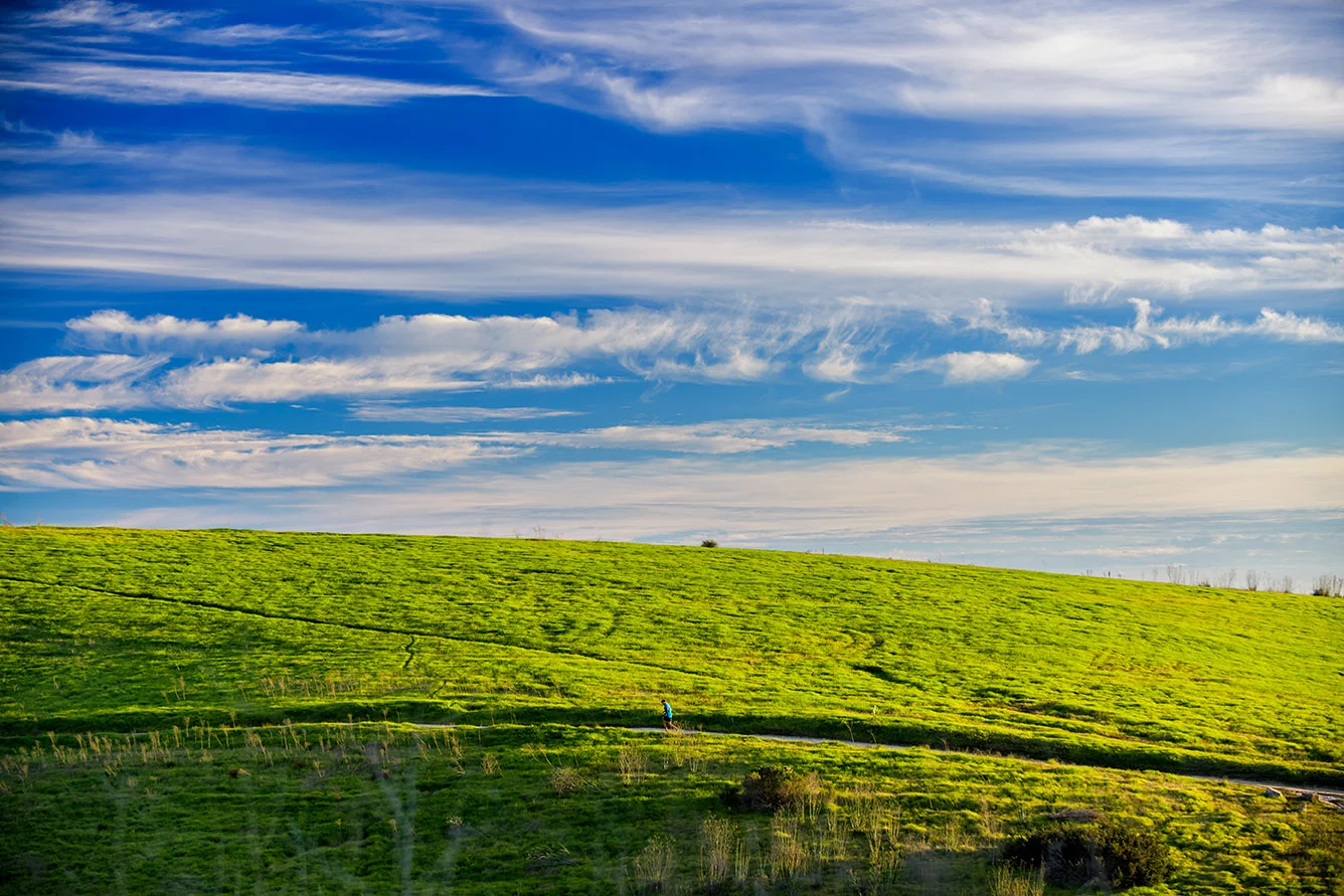 _LVM6560-Edit.jpg
