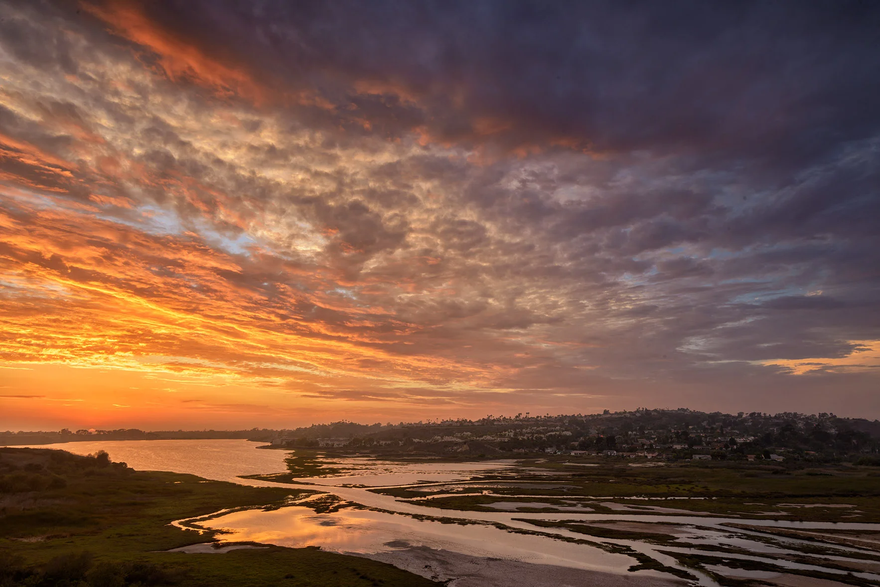 Carlsbad_Hedionda Lagoon August 25, 2015_00048-Edit-2.jpg