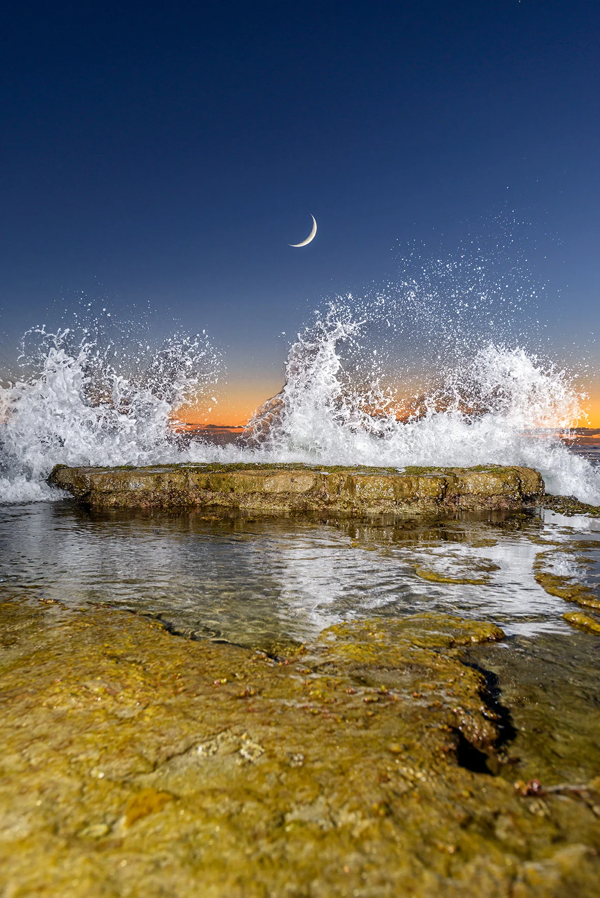 Encinitas_Swamis Beach September 16, 2015_00064-Edit.jpg
