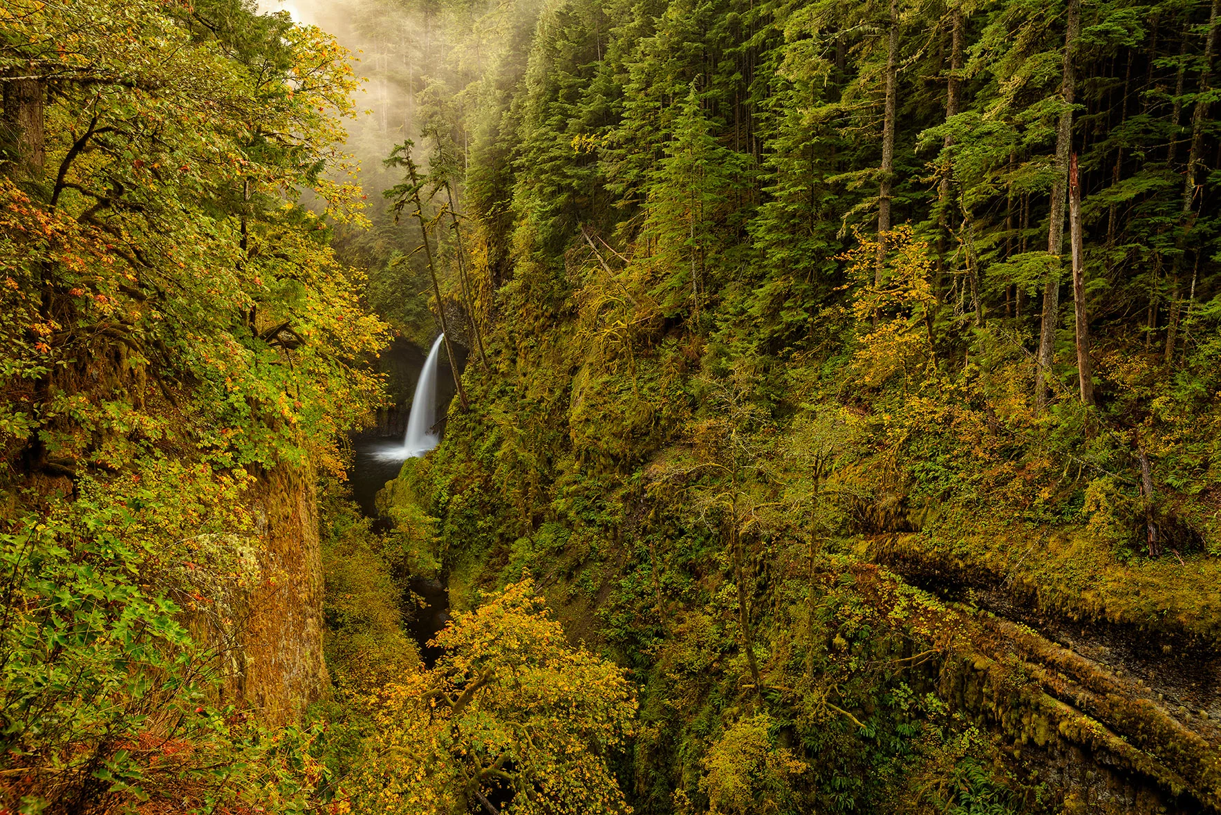 Hood River_Eagle Creek_Metlako FallsOctober 21, 2014_00009-Edit.jpg