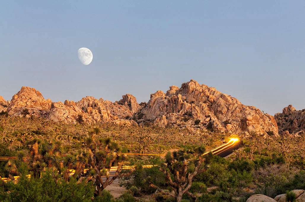 California_Joshua Tree June 21, 2010_00166-Edit.jpg