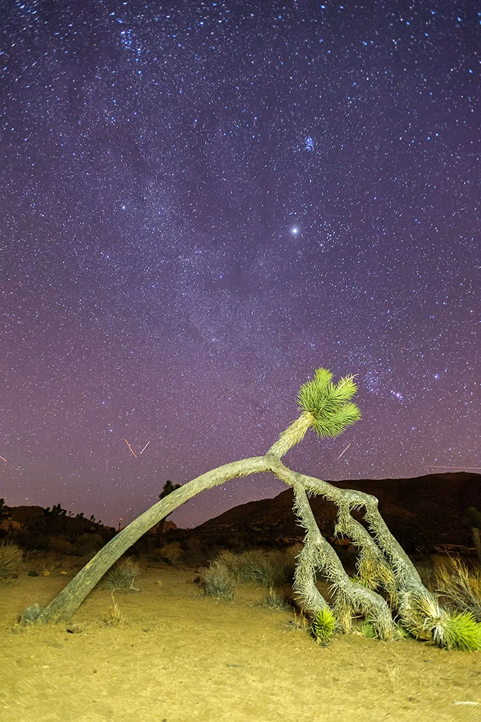 California_Joshua Tree_Hall of Horrors December 09, 2012_00007-Edit.jpg