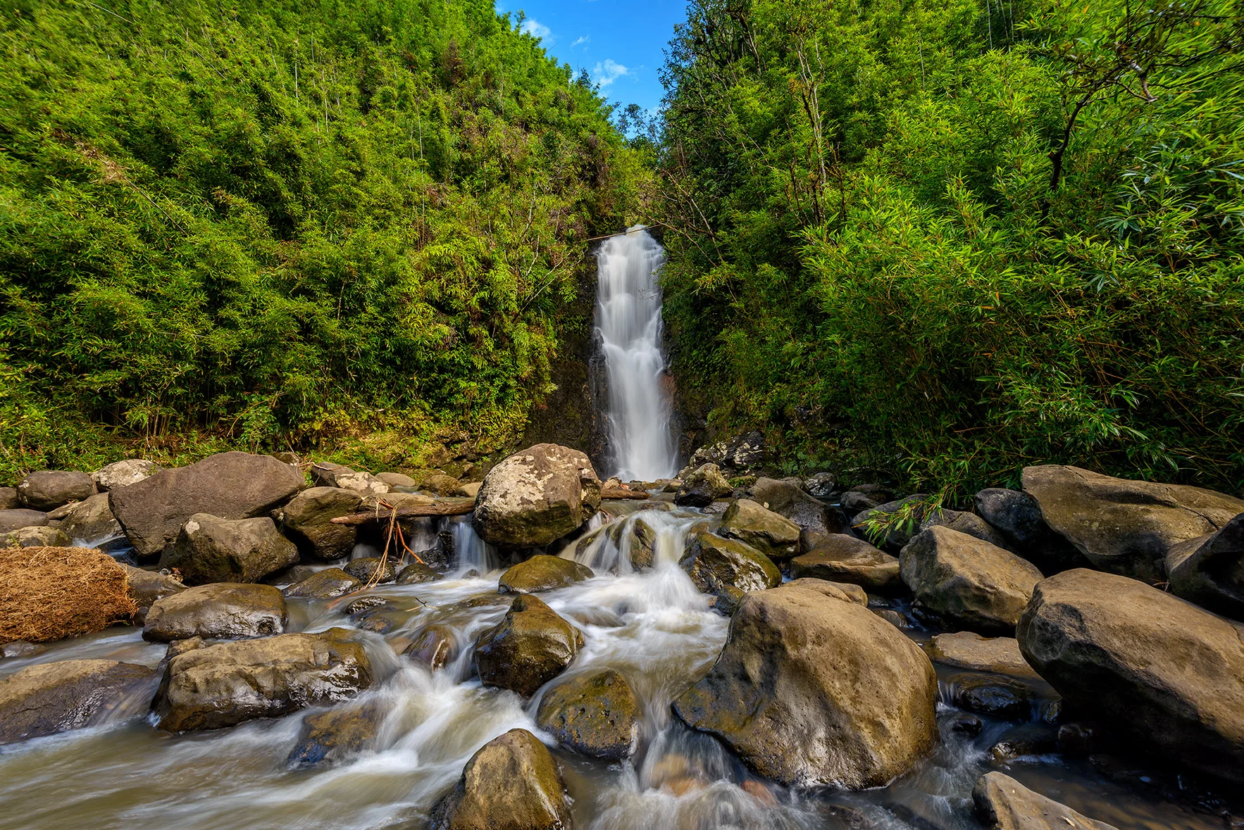 Maui_Road to Hana_Bamboo ForestFebruary 02, 2015_00015-Edit.jpg