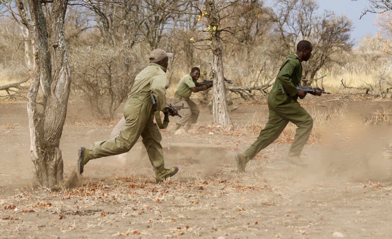 Scouts training drill