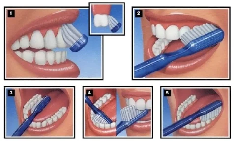 tooth brushing.jpg