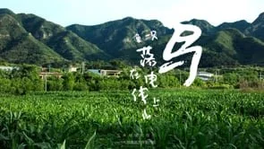 House of cornfield - xiān architects