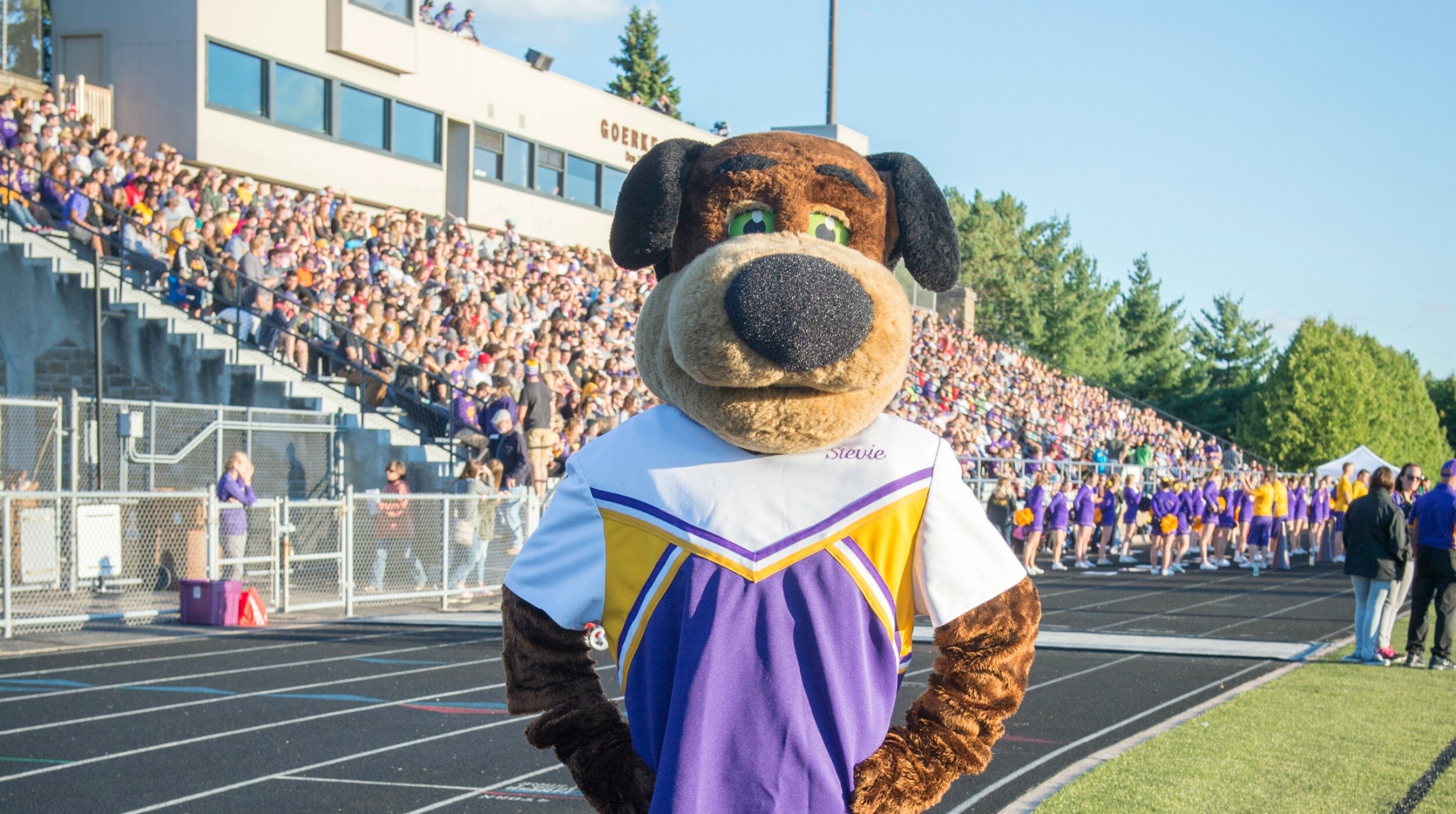 Stevie_Pointer_UWSP_Pointer_Pride_Stevens_Point_Area_2500x1398_8d151a72-b916-40d8-8180-d858d8840042.jpg