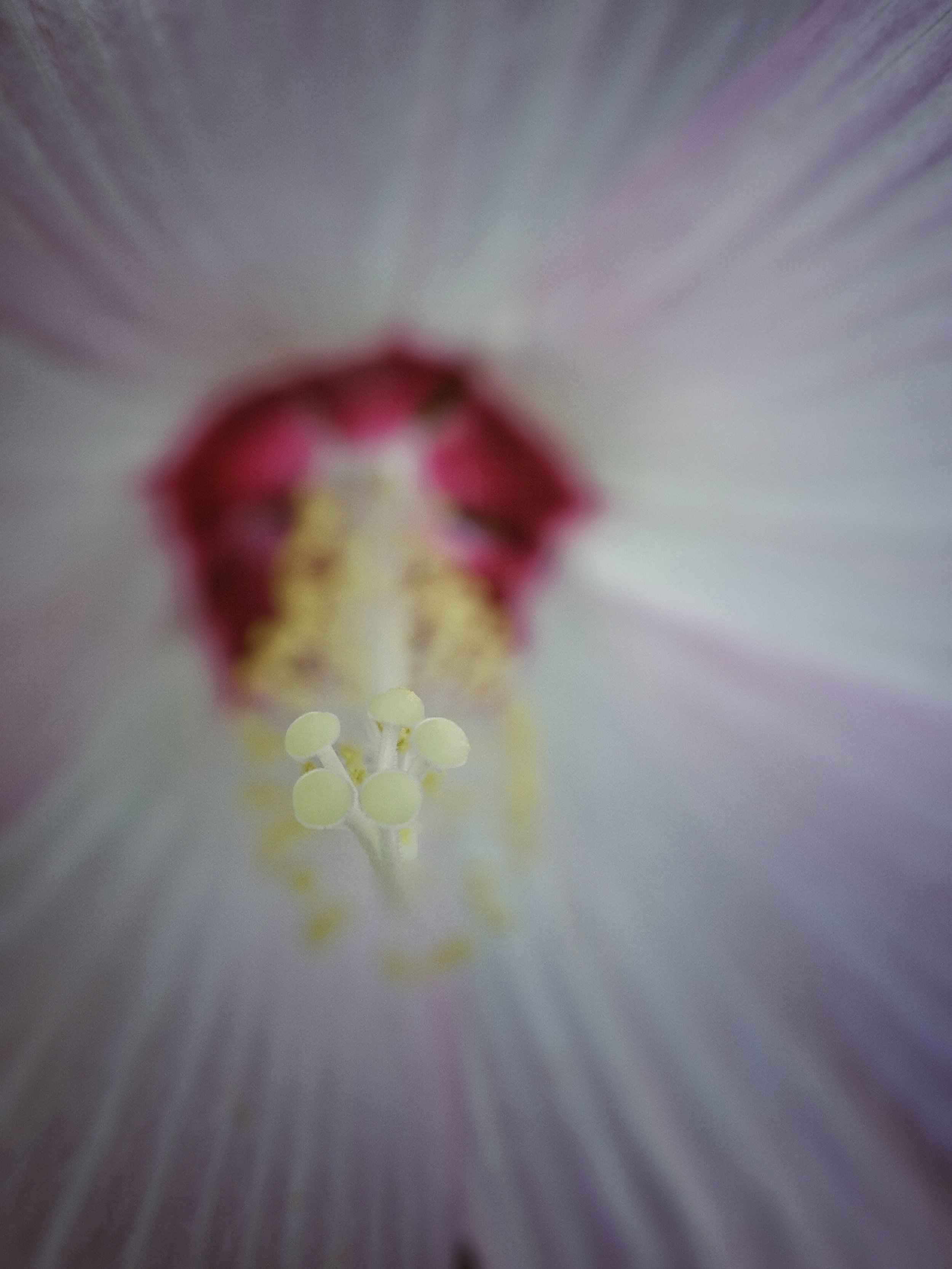 00100lPORTRAIT_00100_BURST20190804111454973_COVER-01.jpg