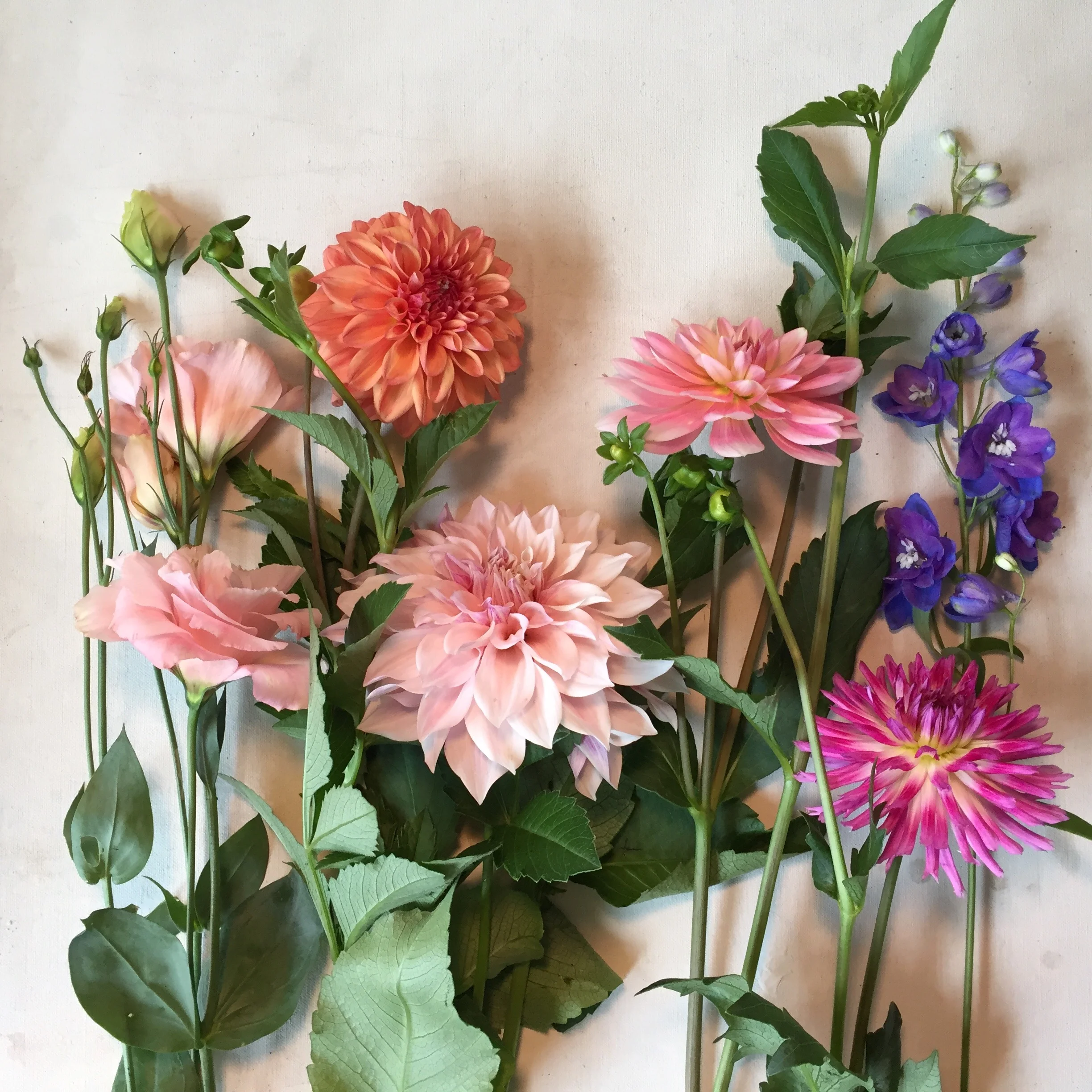bouquet deconstructed.jpg