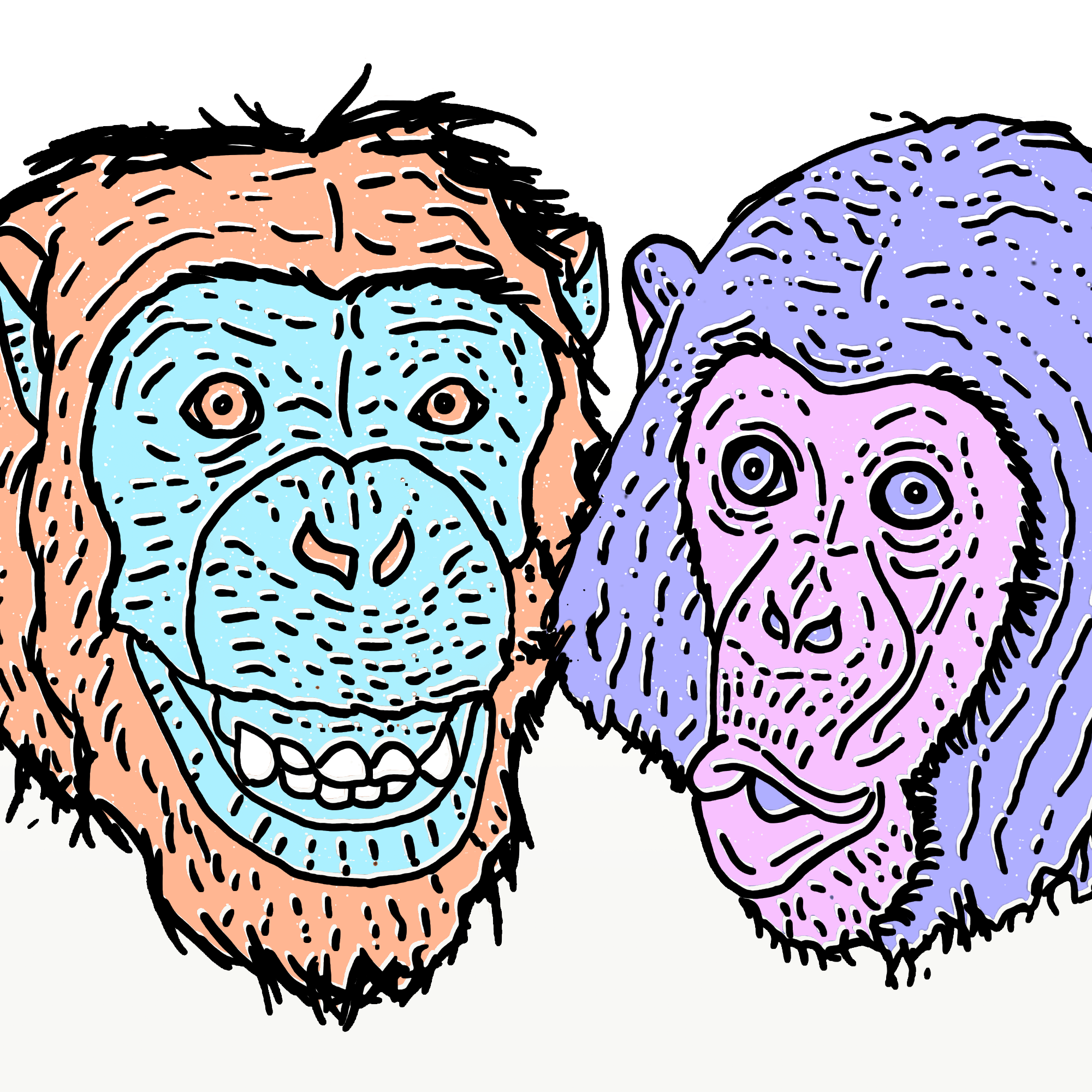 chimps_0000_Layer-3.png