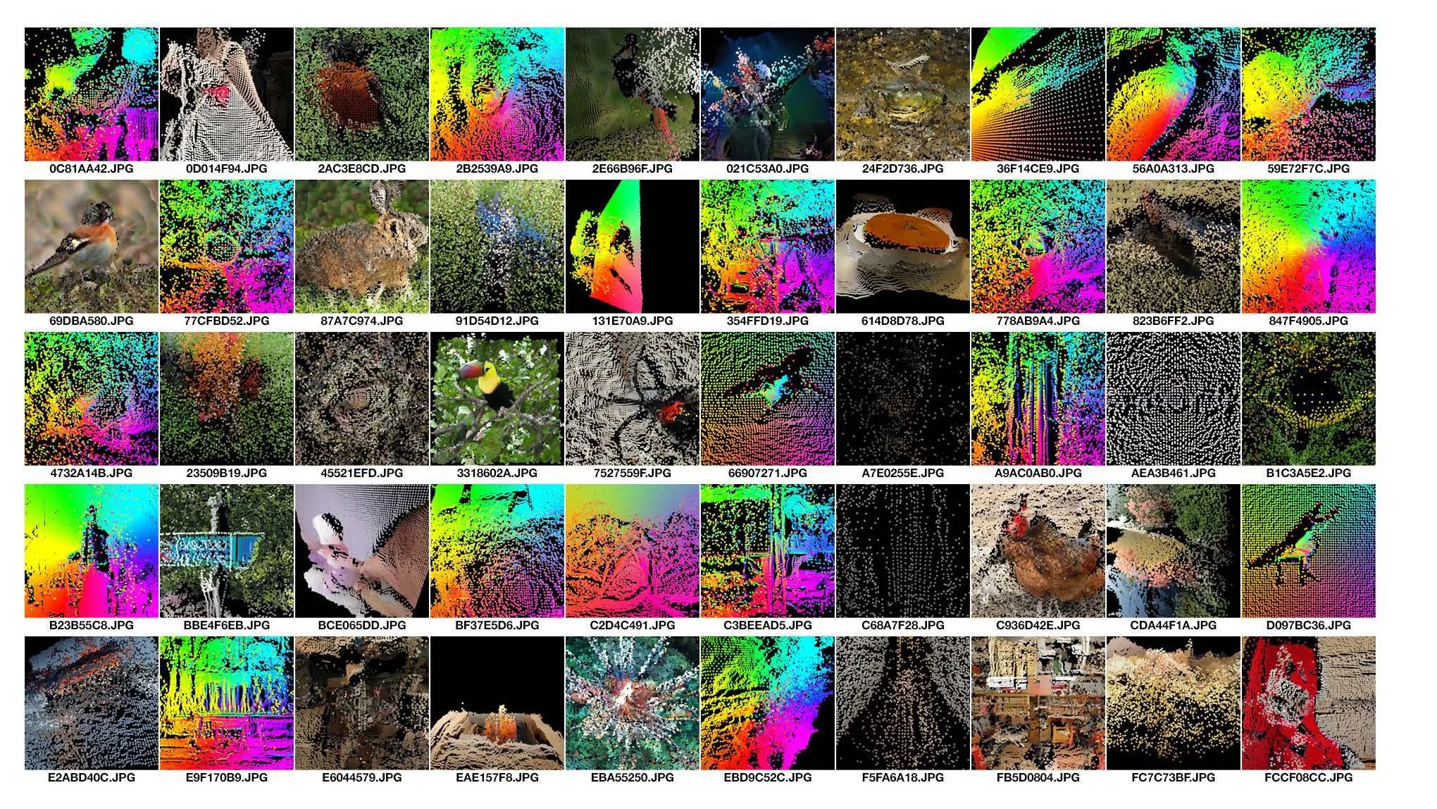 new forms project 1_Page_15.jpg