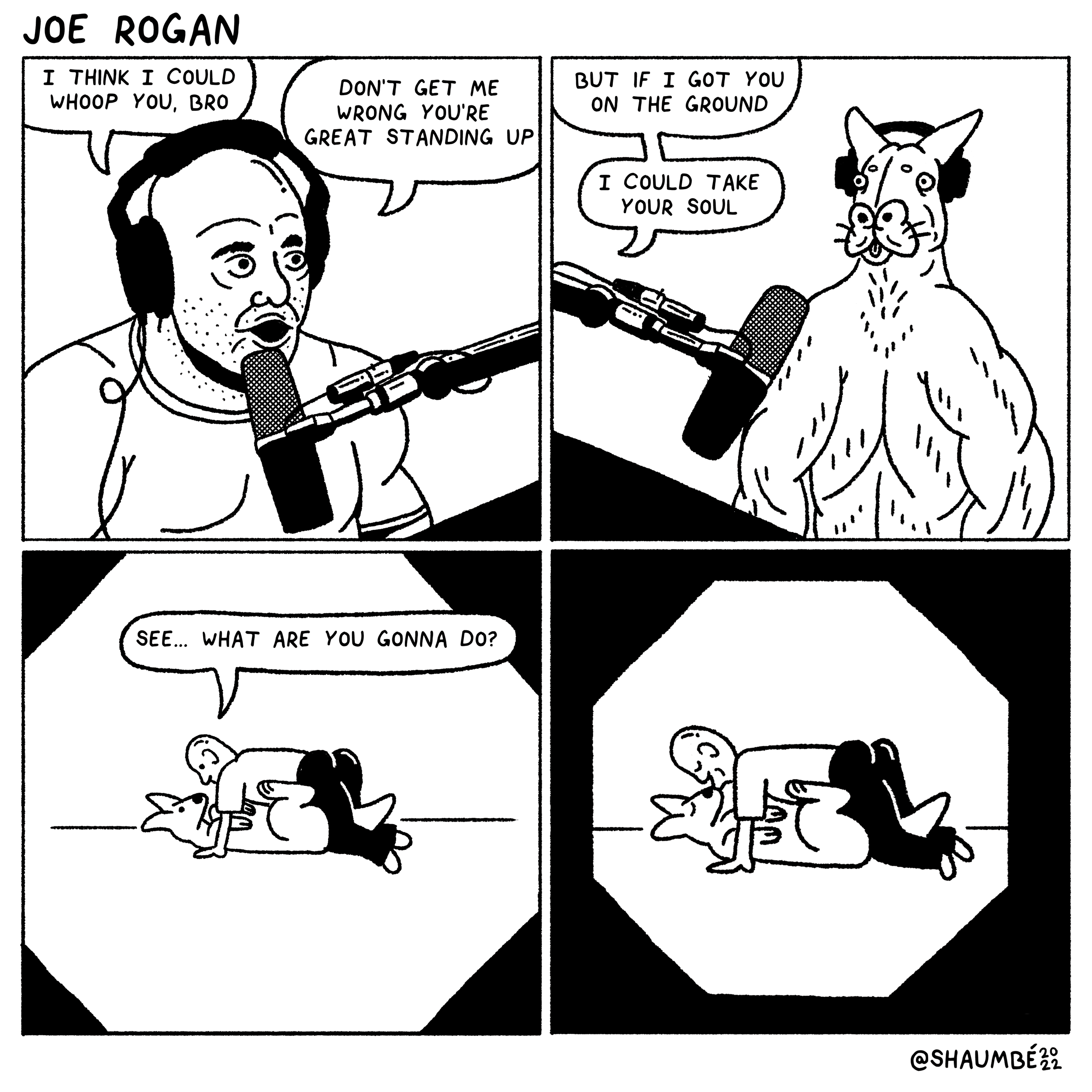 joe rogan.png